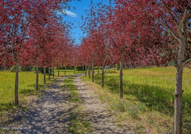 Photo 1 of Land for sale at Nna W Mountainview Rd 130a, Moyie Springs, ID 83845 | MLS# 26-9255 | Listing updated on 2026-09-12
