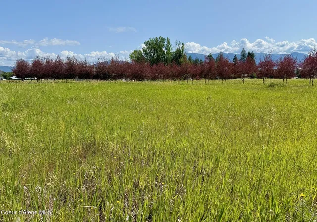Photo 3 of Land for sale at Nna W Mountainview Rd 130a, Moyie Springs, ID 83845 | MLS# 26-9255 | Listing updated on 2026-09-12