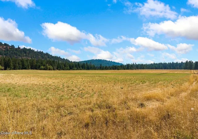 Photo 3 of Land for sale at 134 Hot Rod Ln, Priest River, ID 83856 | MLS# 26-9271 | Listing updated on 2026-09-10