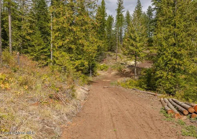 Photo 3 of Land for sale at 5418 S Elk Rd, Harrison, ID 83833 | MLS# 26-9314 | Listing updated on 2026-09-16