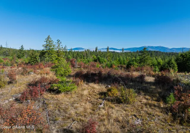 Photo 3 of Sale Pending at Tract S Sportsman Rd, Saint Maries, ID 83861 | MLS# 26-9546 | Listing updated on 2026-09-26