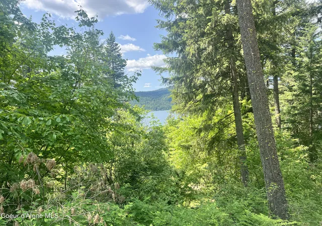 Land for sale at 00nka Lakeview Dr, Harrison, ID 83833 | MLS# 26-9748
