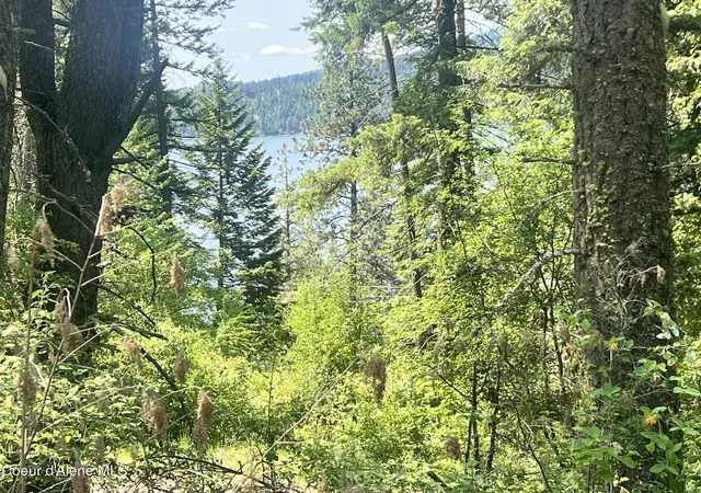 Photo 2 of Land for sale at 00nka Lakeview Dr, Harrison, ID 83833 | MLS# 26-9748 | Listing updated on 2026-09-27
