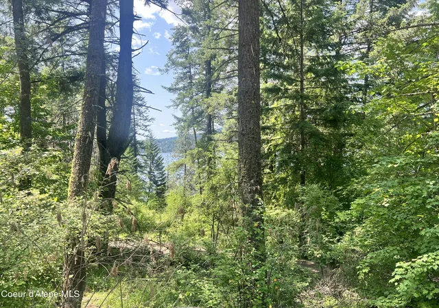Photo 3 of Land for sale at 00nka Lakeview Dr, Harrison, ID 83833 | MLS# 26-9748 | Listing updated on 2026-09-27