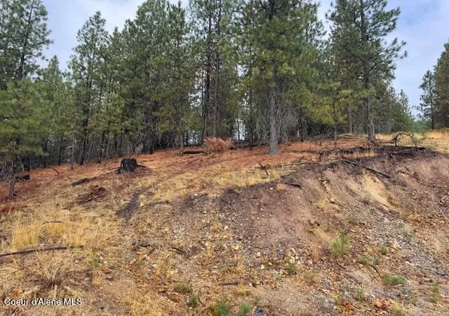 Photo 3 of Land for sale at Nka Parcel A, Pinehurst, ID 83850 | MLS# 26-9883 | Listing updated on 2026-10-02