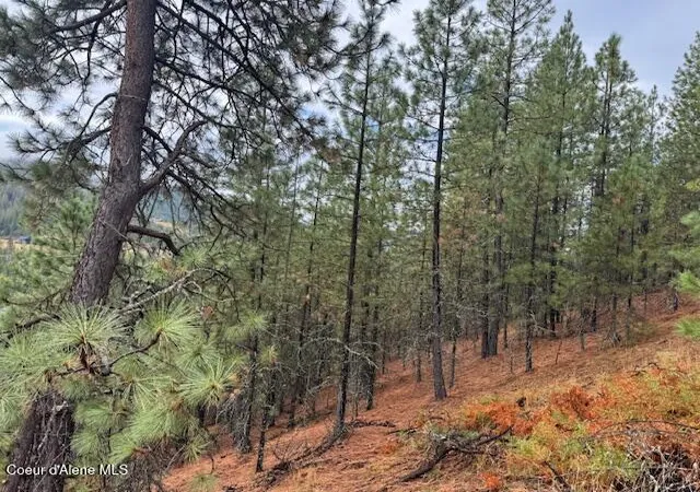 Photo 3 of Land for sale at Nka Parcel A, Pinehurst, ID 83850 | MLS# 26-9883 | Listing updated on 2026-10-02