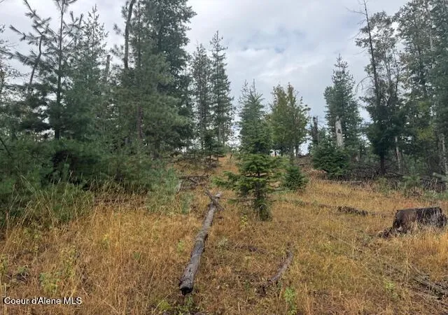 Photo 2 of Land for sale at Nka Parcel B, Pinehurst, ID 83850 | MLS# 26-9885 | Listing updated on 2026-10-02