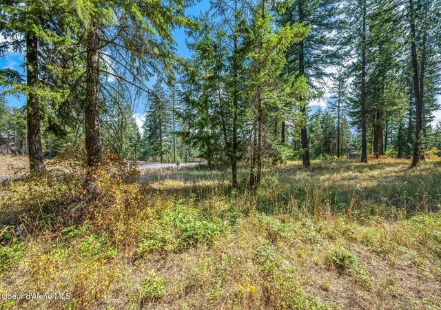 Photo 3 of Land for sale at L4b1 N Walden Loop, Rathdrum, ID 83858 | MLS# 26-9890 | Listing updated on 2026-10-02