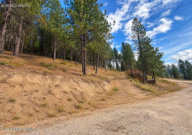 Land for sale at 2972 S Fork Rdg, Smelterville, ID 83868 | MLS# 26-9905