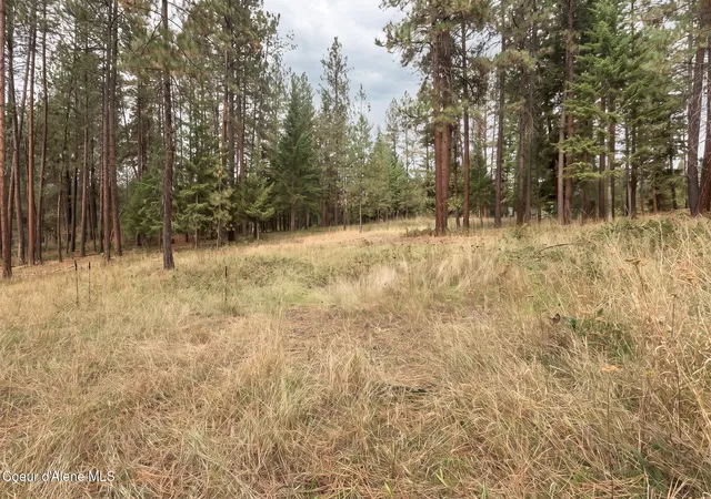 Photo 1 of Land for sale at (lot 19) Canterbury Ct, Moyie Springs, ID 83845 | MLS# 26-9935 | Listing updated on 2026-10-03