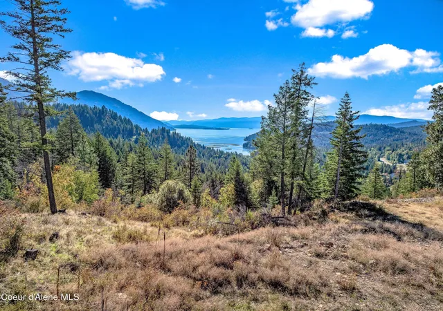Land for sale at B10 S L2 White Cloud Dr, Sandpoint, ID 83864 | MLS# 26-9963