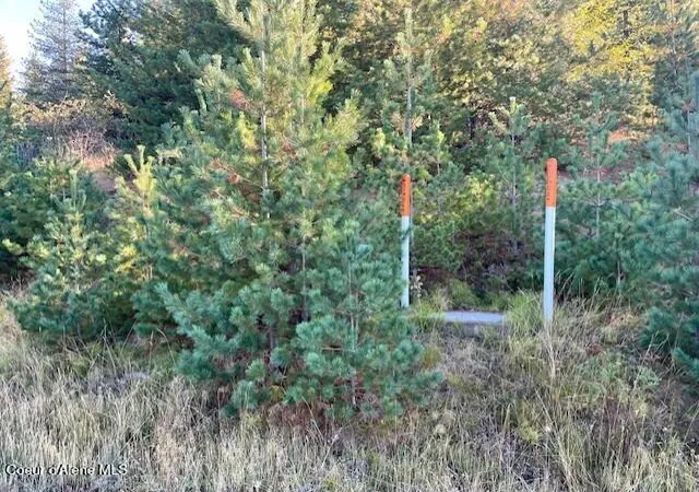 Photo 1 of Land for sale at 277 Diamond Hitch Dr, Kellogg, ID 83837 | MLS# 26-9991 | Listing updated on 2026-10-27