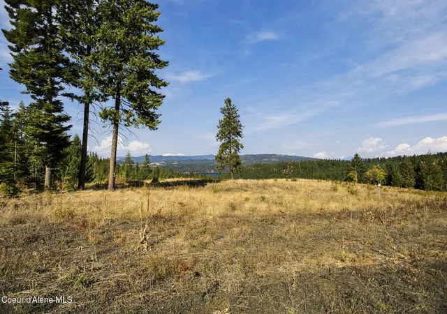 Land for sale at 18903 S Hungry Holw Dr, Harrison, ID 83833 | MLS# 26-10091
