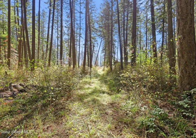 Photo 3 of Land for sale at 15625 N Ridgeway Ln, Hayden, ID 83835 | MLS# 26-10165 | Listing updated on 2026-10-12