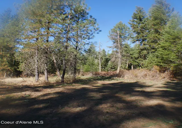 Photo 1 of Land for sale at E Bell Cyn Rd, Harrison, ID 83833 | MLS# 26-9996 | Listing updated on 2026-10-06