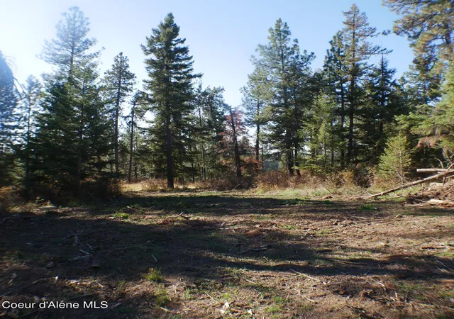 Photo 2 of Land for sale at E Bell Cyn Rd, Harrison, ID 83833 | MLS# 26-9996 | Listing updated on 2026-10-06