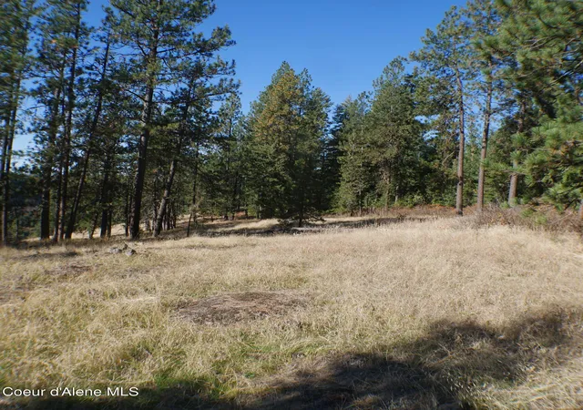 Photo 3 of Land for sale at E Bell Cyn Rd, Harrison, ID 83833 | MLS# 26-9996 | Listing updated on 2026-10-06