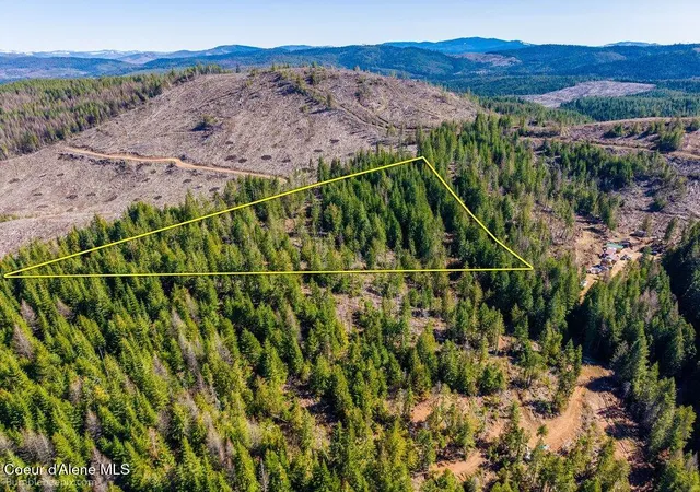 Photo 4 of Land for sale at 462 E Ridge (tract 14) Dr, Saint Maries, ID 83861 | MLS# 26-10179 | Listing updated on 2026-10-13