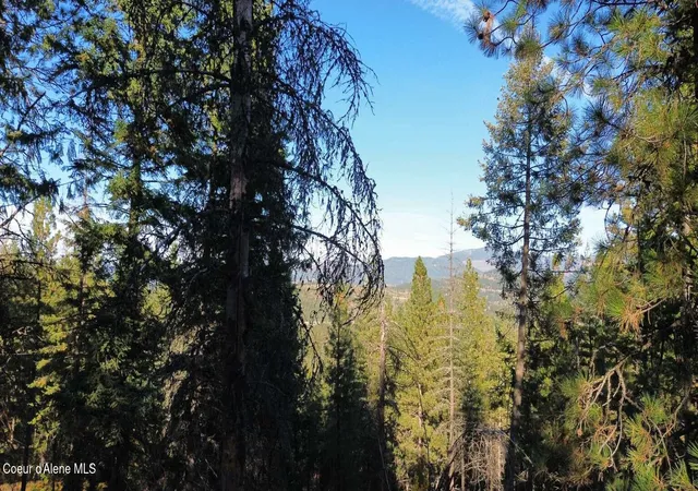 Photo 1 of Land for sale at 13413 Kelly Gulch Rd, Pinehurst, ID 83850 | MLS# 26-10172 | Listing updated on 2026-10-28