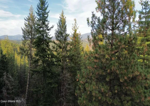 Photo 2 of Land for sale at 13413 Kelly Gulch Rd, Pinehurst, ID 83850 | MLS# 26-10172 | Listing updated on 2026-10-28