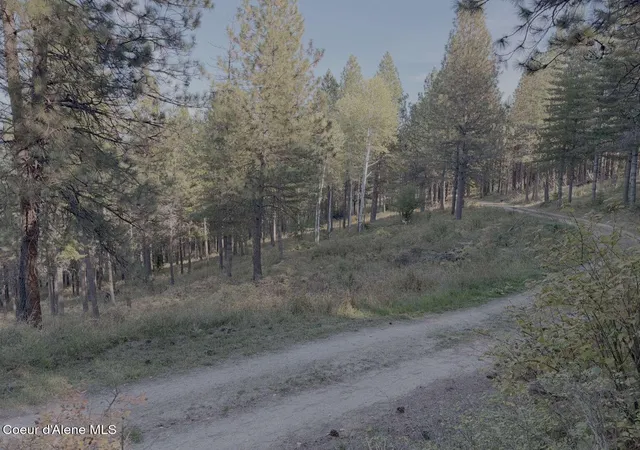 Photo 3 of Land for sale at 13413 Kelly Gulch Rd, Pinehurst, ID 83850 | MLS# 26-10172 | Listing updated on 2026-10-28