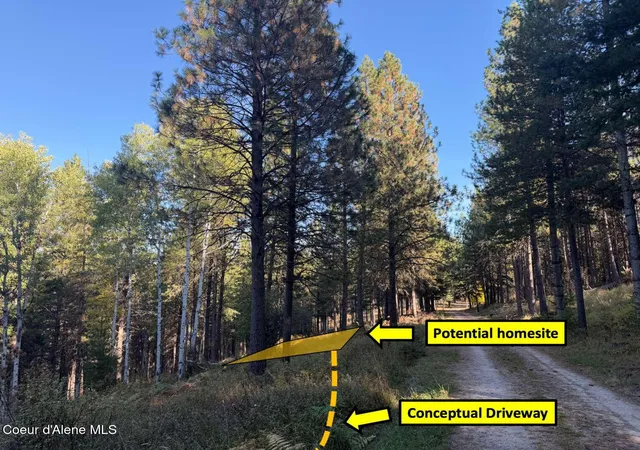 Photo 3 of Land for sale at 13413 Kelly Gulch Rd, Pinehurst, ID 83850 | MLS# 26-10172 | Listing updated on 2026-10-28