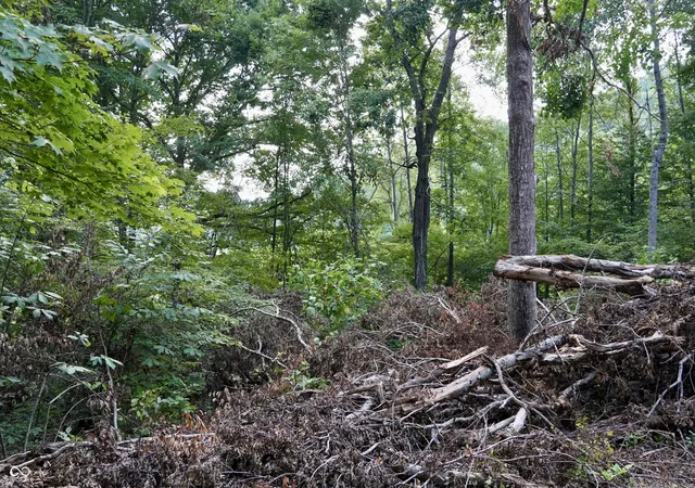 Photo 192 of Land for sale at 9830 N Low Gap Rd, Martinsville, IN 46151 | MLS# 22124183 | Listing updated on 2026-09-04