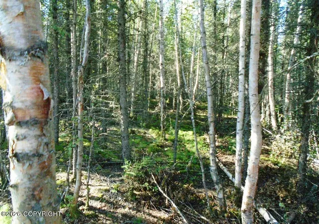 Photo 1 of Land for sale at 6661 S Lark Cir, Wasilla, AK 99623 | MLS# 25-14952 | Listing updated on 2026-09-15
