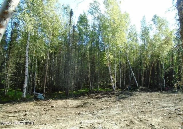 Photo 3 of Land for sale at 6661 S Lark Cir, Wasilla, AK 99623 | MLS# 25-14952 | Listing updated on 2026-09-15