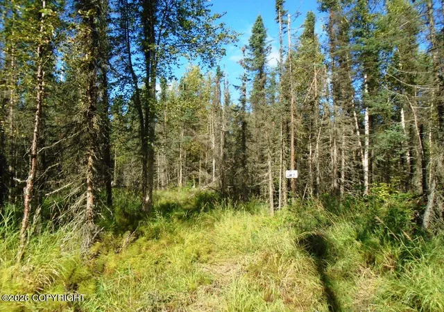 Photo 2 of Land for sale at 6671 S Lark Cir, Wasilla, AK 99623 | MLS# 25-14953 | Listing updated on 2026-09-15
