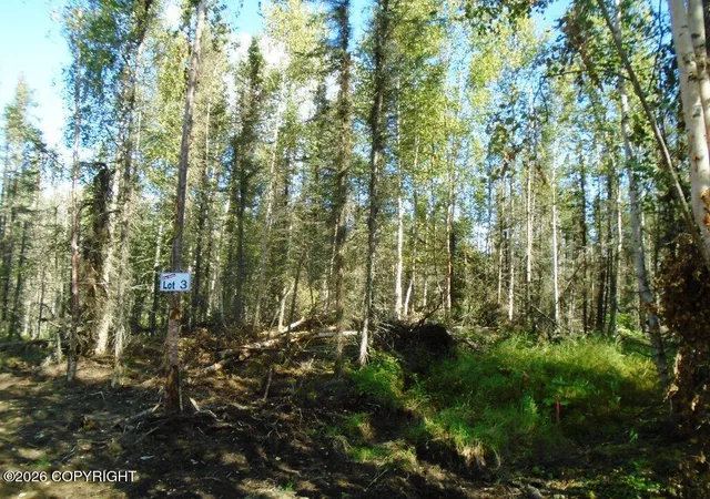 Photo 1 of Land for sale at 6677 S Lark Cir, Wasilla, AK 99623 | MLS# 25-14954 | Listing updated on 2026-09-15