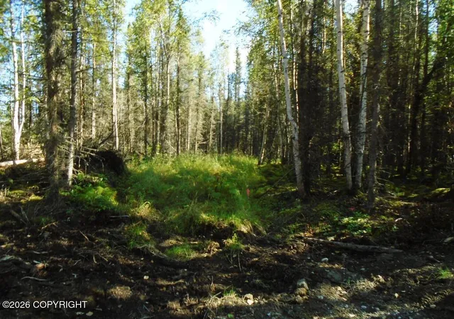 Photo 2 of Land for sale at 6677 S Lark Cir, Wasilla, AK 99623 | MLS# 25-14954 | Listing updated on 2026-09-15