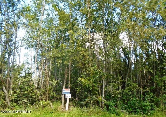 Photo 1 of Land for sale at 6703 S Lark Cir, Wasilla, AK 99623 | MLS# 25-14955 | Listing updated on 2026-09-15
