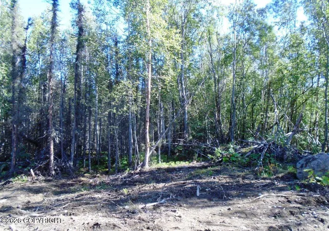 Photo 2 of Land for sale at 6703 S Lark Cir, Wasilla, AK 99623 | MLS# 25-14955 | Listing updated on 2026-09-15