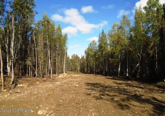 Photo 3 of Land for sale at 6703 S Lark Cir, Wasilla, AK 99623 | MLS# 25-14955 | Listing updated on 2026-09-15
