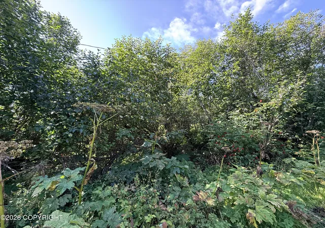 Photo 2 of Land for sale at 2419 Judy Rebecca Ct, Homer, AK 99603 | MLS# 26-5546 | Listing updated on 2026-09-02