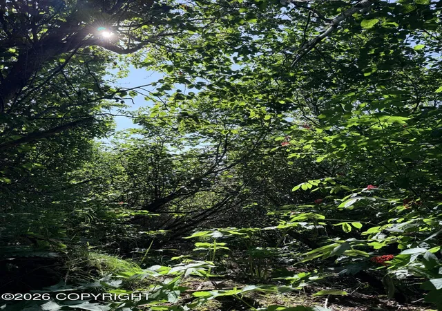 Photo 3 of Land for sale at 2419 Judy Rebecca Ct, Homer, AK 99603 | MLS# 26-5546 | Listing updated on 2026-09-02