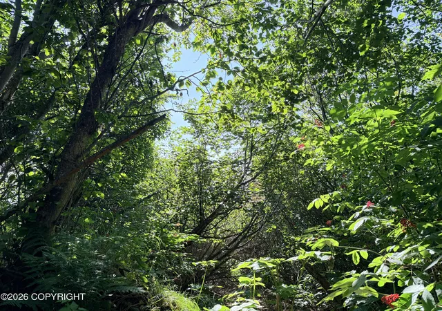 Photo 3 of Land for sale at 2419 Judy Rebecca Ct, Homer, AK 99603 | MLS# 26-5546 | Listing updated on 2026-09-02