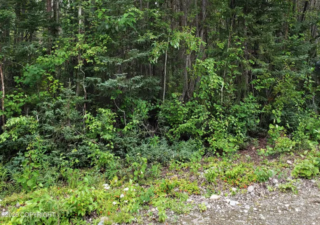 Photo 4 of Land for sale at 14037 E Mckinley Dr, Willow, AK 99688 | MLS# 26-5621 | Listing updated on 2026-09-21