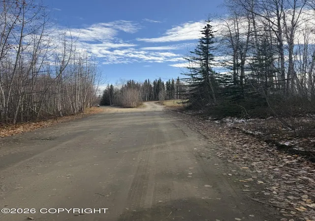 Land for sale at L3 F A Way, Nenana, AK 99760 | MLS# 26-8782