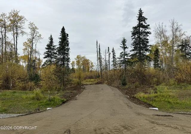 Land for sale at 17669 E Yeldarb Ave, Talkeetna, AK 99676 | MLS# 26-9869