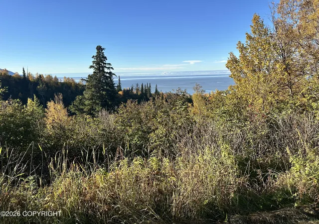 Photo 2 of Land for sale at L16 B9 Romania Dr, Anchorage, AK 99516 | MLS# 26-10252 | Listing updated on 2026-10-09