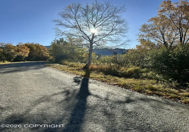 Photo 3 of Land for sale at L16 B9 Romania Dr, Anchorage, AK 99516 | MLS# 26-10252 | Listing updated on 2026-10-09
