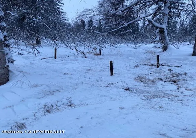 Photo 2 of Land for sale at 9704 S Kenny Crk Loop, Trapper Creek, AK 99683 | MLS# 26-11254 | Listing updated on 2026-09-02