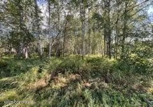 Photo 2 of Land for sale at 9865 S Twilight Dr, Wasilla, AK 99654 | MLS# 26-11026 | Listing updated on 2026-09-04