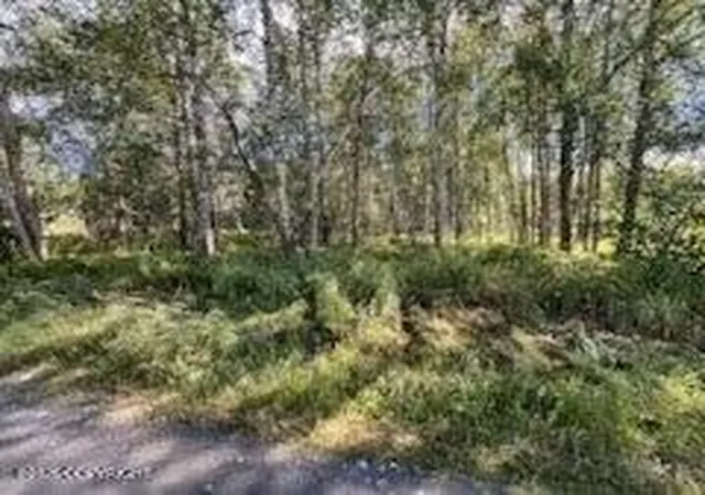 Photo 3 of Land for sale at 9865 S Twilight Dr, Wasilla, AK 99654 | MLS# 26-11026 | Listing updated on 2026-09-04