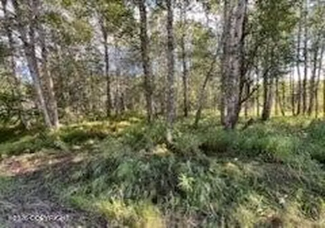 Photo 3 of Land for sale at 9865 S Twilight Dr, Wasilla, AK 99654 | MLS# 26-11026 | Listing updated on 2026-09-04
