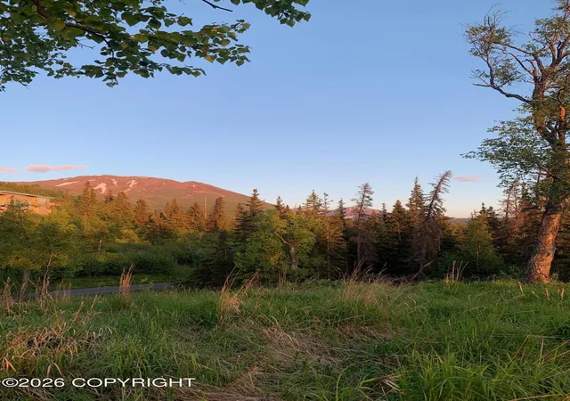 Photo 3 of Land for sale at 9991 Middlerock Rd, Anchorage, AK 99507 | MLS# 26-10903 | Listing updated on 2026-09-14