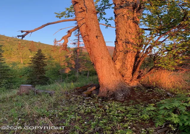 Photo 4 of Land for sale at 9991 Middlerock Rd, Anchorage, AK 99507 | MLS# 26-10903 | Listing updated on 2026-09-14