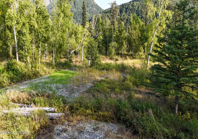 Photo 4 of Sale Pending at 12704 E Wycoff Dr, Palmer, AK 99645 | MLS# 26-11103 | Listing updated on 2026-09-13